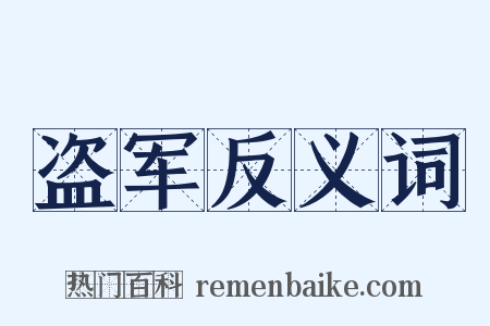 盗军反义词是什么意思的图片